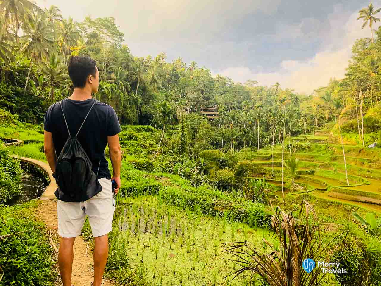 Tegallalang Rice Terraces Ubud Bali